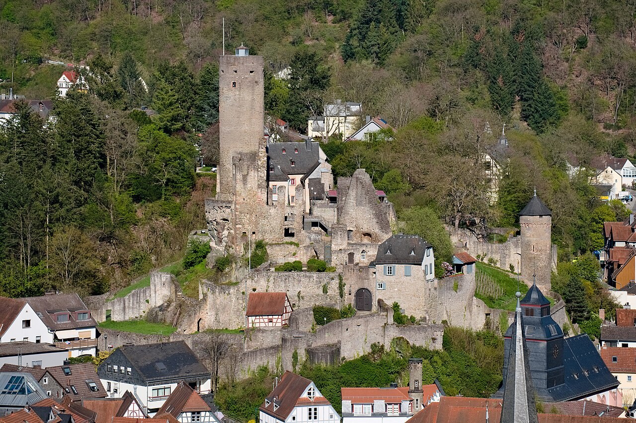 Burg Eppstein mit Altstadt und grünen Taunushängen